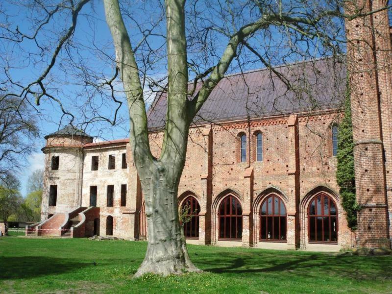 Ferienhaus Paul Am Klostersee, Urlaub Mit Hund Dargun Exterior foto